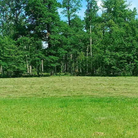 Villa Maison Forestiere En Foret De Troncais *